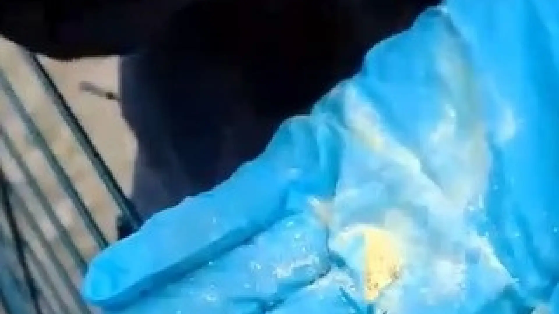 Las monjas excomulgadas de Belorado denuncian a la Guardia Civil el envenenamiento de sus perros en Asturias