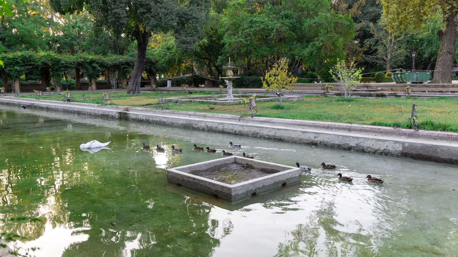 Cierra el Parque de María Luisa de Sevilla tras aparecer cinco patos muertos por el brote de gripe aviar