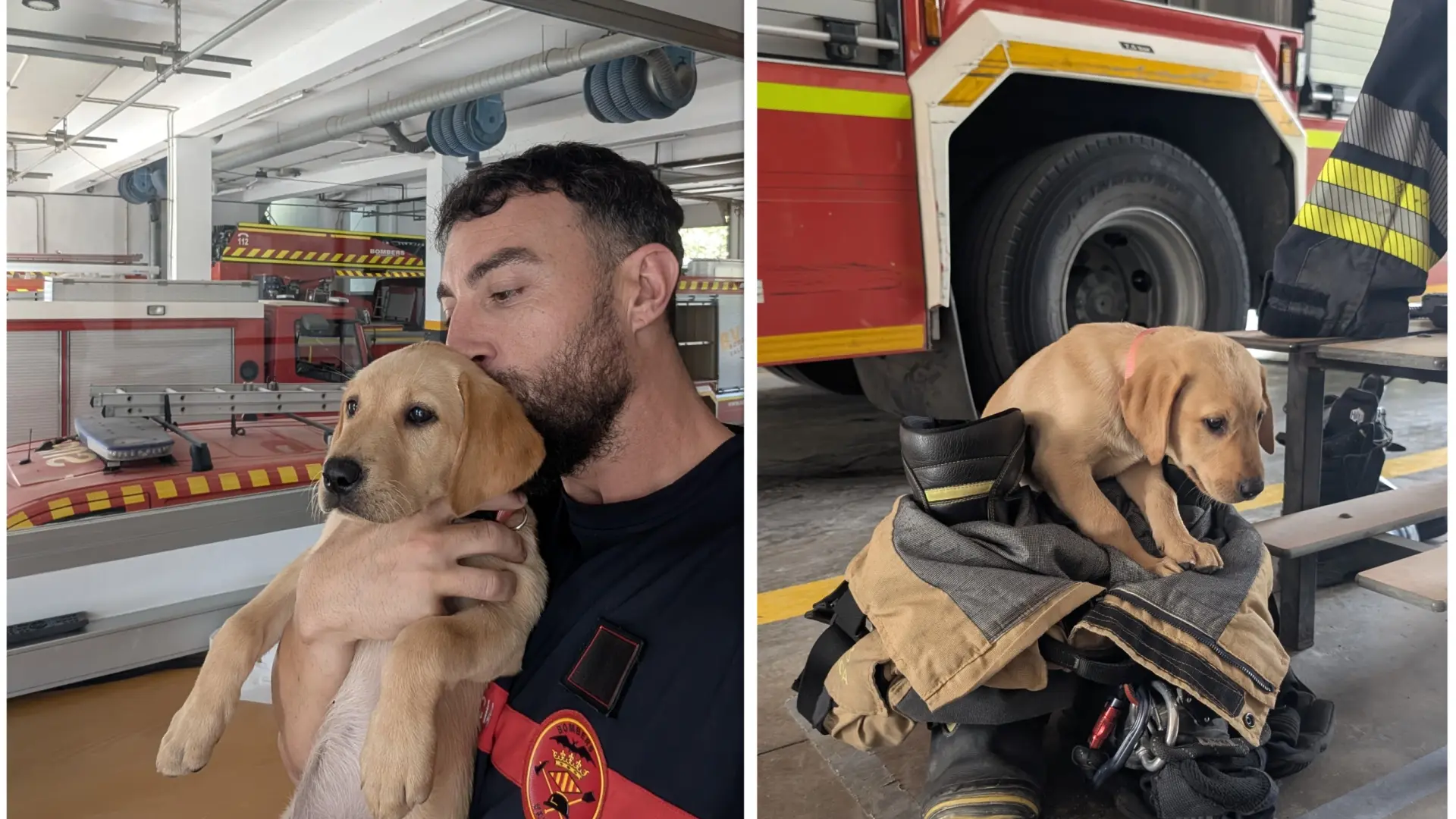 Carlos y Samba, unidos por el rescate: así se forja un equipo que salva vidas y cuya historia está emocionando a todos