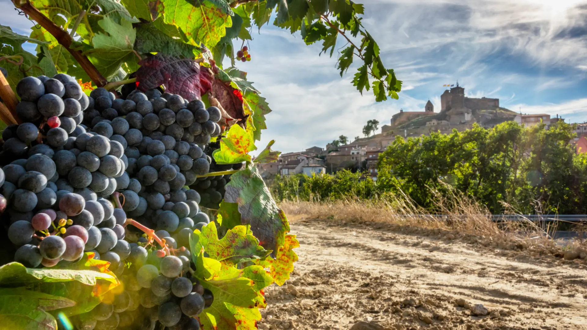 Ni Briones ni Nájera: el pueblo amurallado de La Rioja que está lleno de bodegas familiares