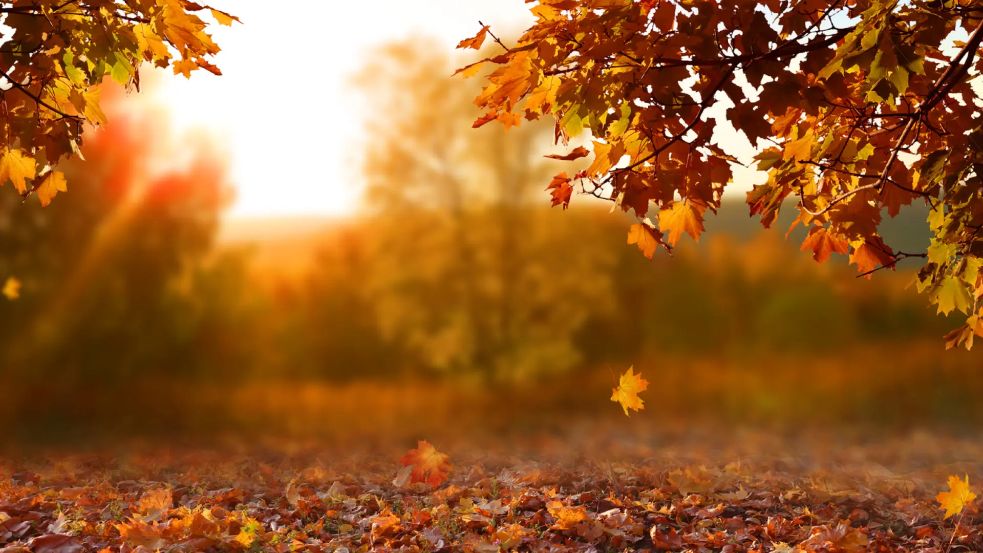 Qué es el equinoccio de otoño y cómo afecta al ser humano