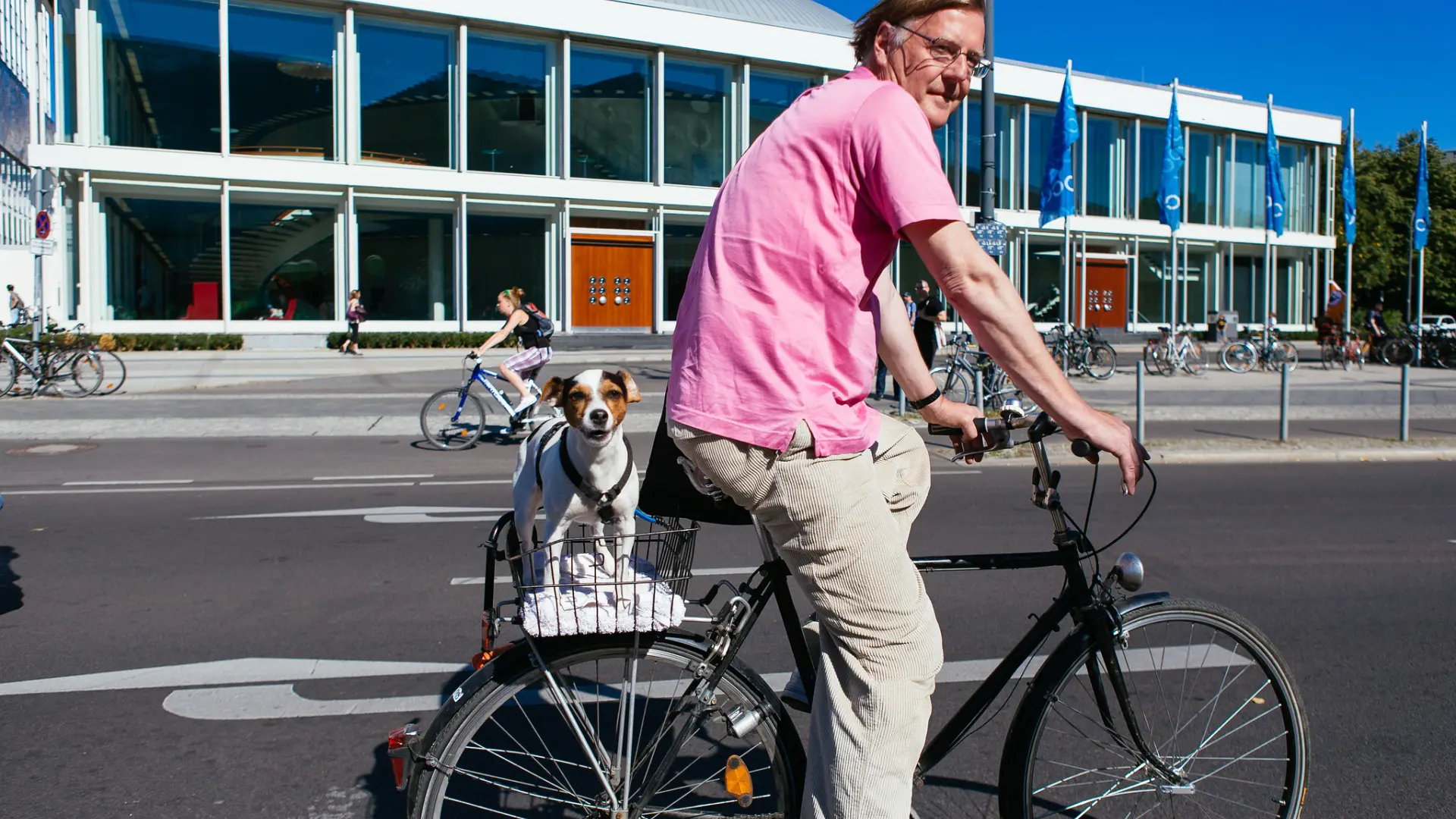 Alemania encabeza un informe europeo sobre población canina, seguida de España, con 9,3 millones de perros