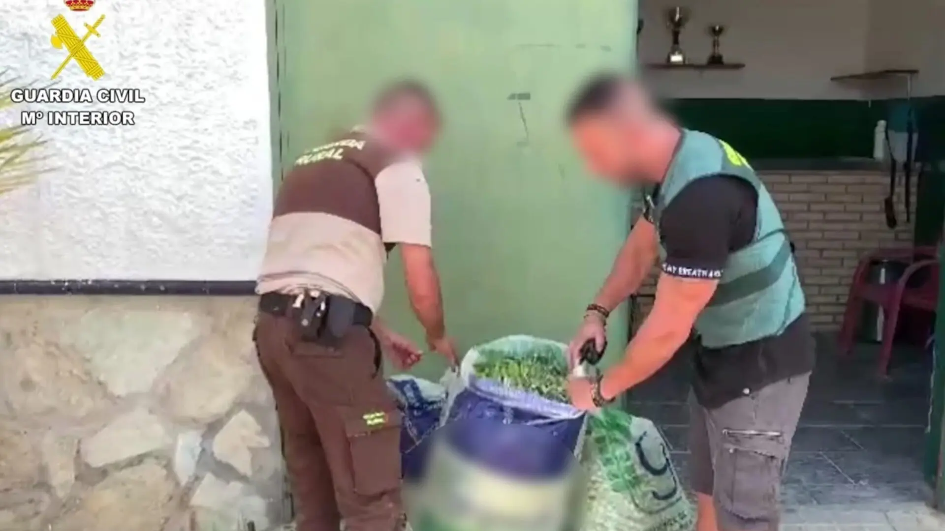 Dos detenidos por el robo de 30 toneladas de aceitunas de mesa en el Aljarafe (Sevilla)