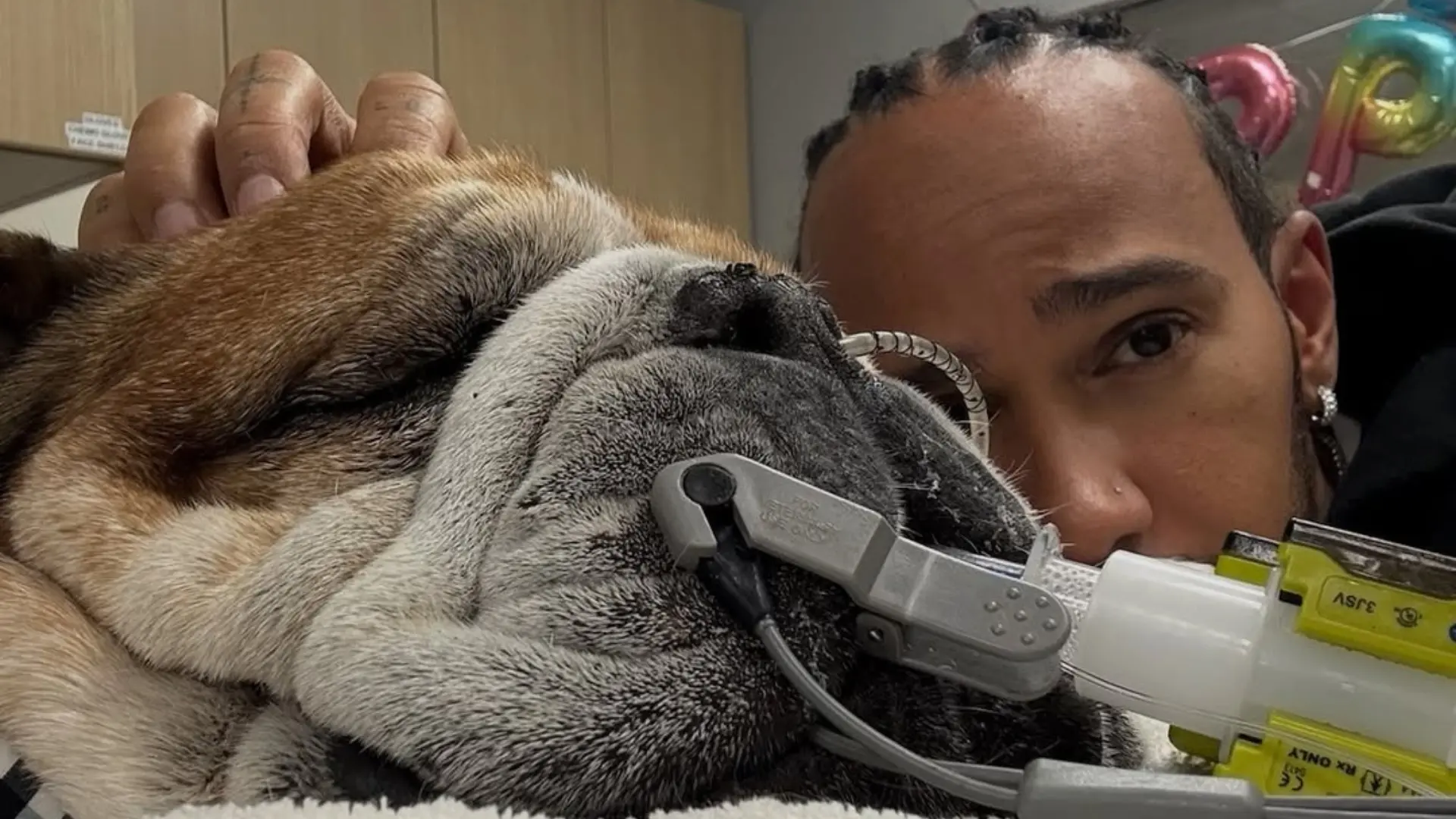 Lewis Hamilton, devastado por la salud de Roscoe: "Cada vez que recibo un mensaje de la señora que lo cuida, se me para el corazón"