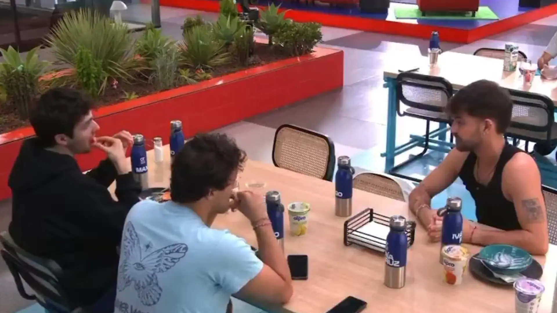 Iván Rojo, criticado por su opinión sobre las lenguas cooficiales en 'OT 2025': "Lo normal es que respetes su cultura"