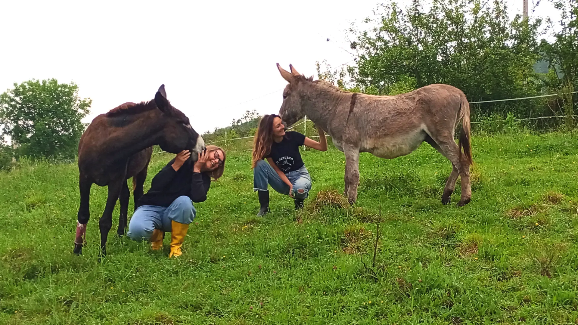 El Rebuzno Feliz: el refugio que da segundas oportunidades a burros y mulas