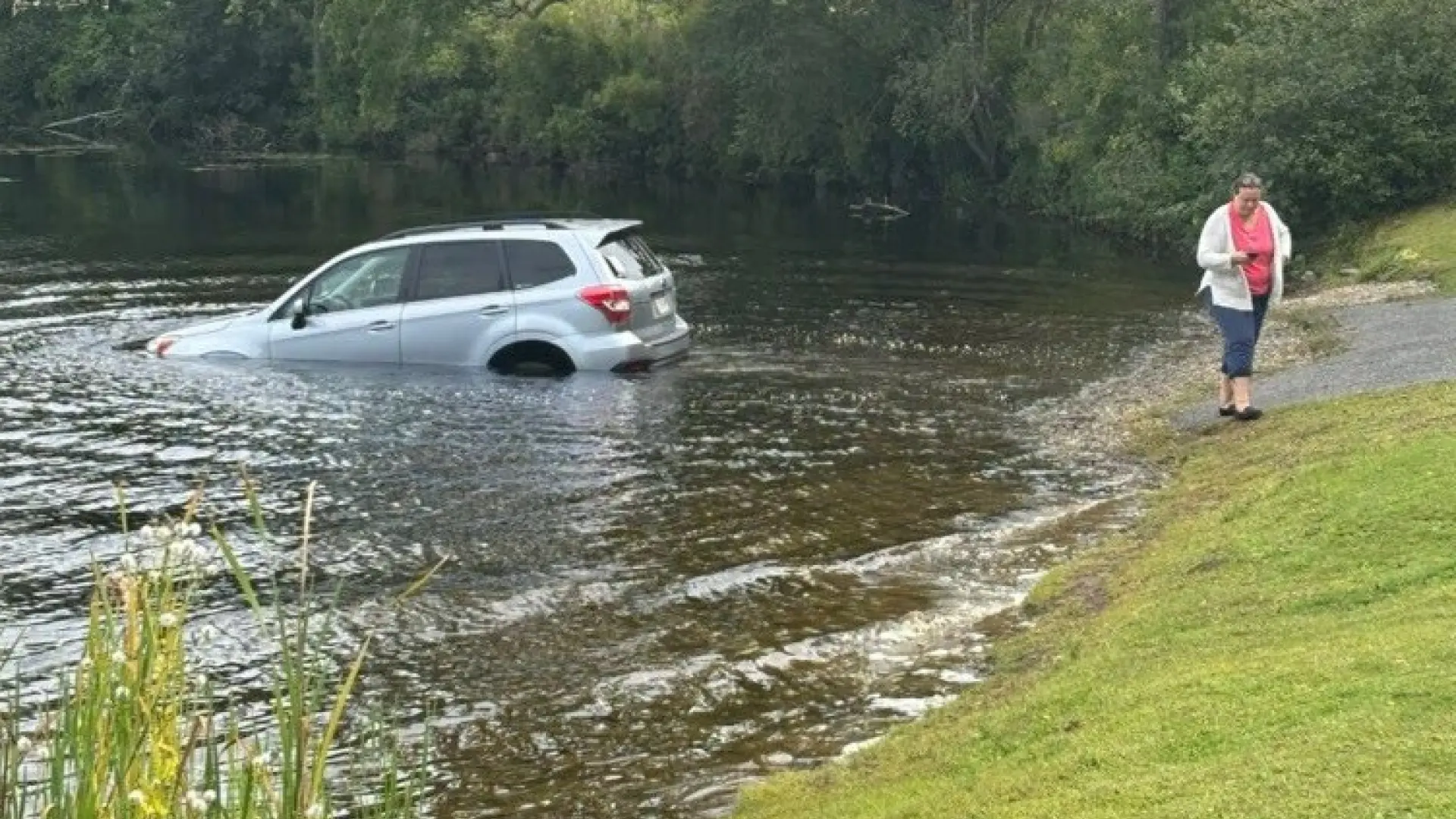 Una mujer trata de salvar a un inmigrante que estaba siendo detenido por el ICE y acabó con su coche flotando en un lago