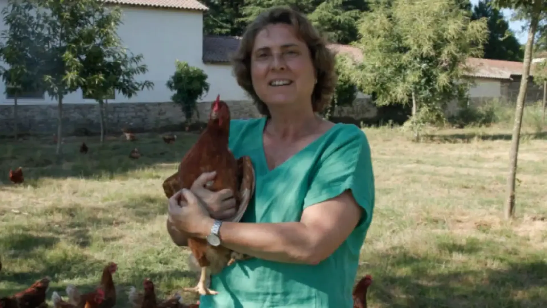Pazo de Vilane, tres décadas de compromiso con el bienestar de las gallinas