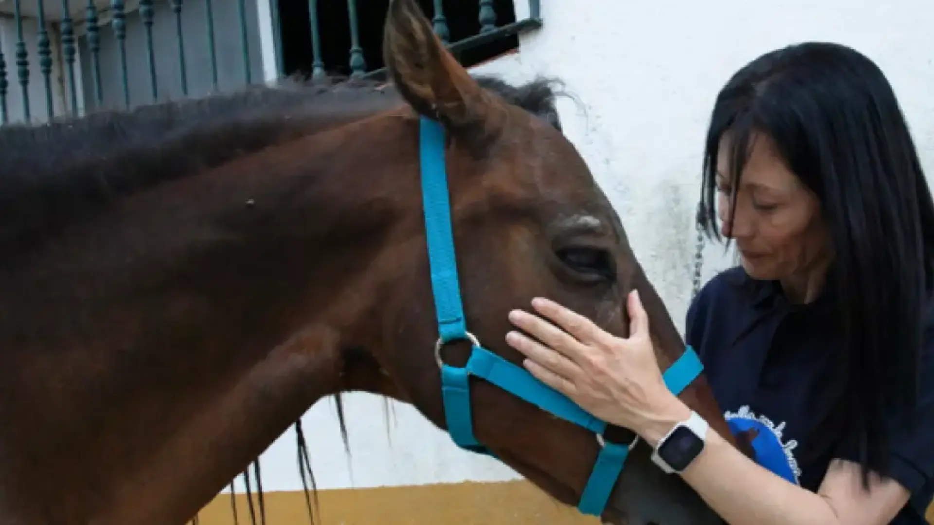 La historia de Duque, el caballo que sabe sanar corazones rotos: "Queremos democratizar las terapias ecuestres"