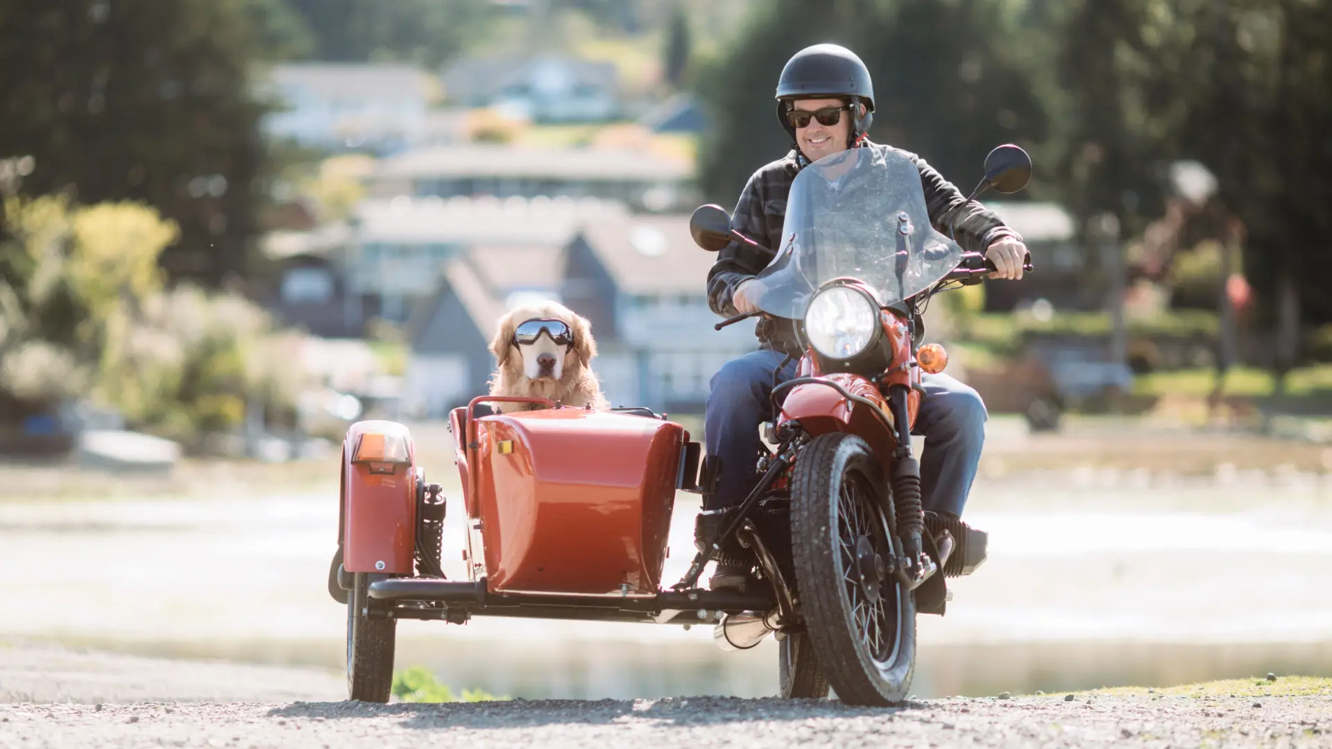 La historia viral del hombre que inventó un sidecar para su perro enfermo