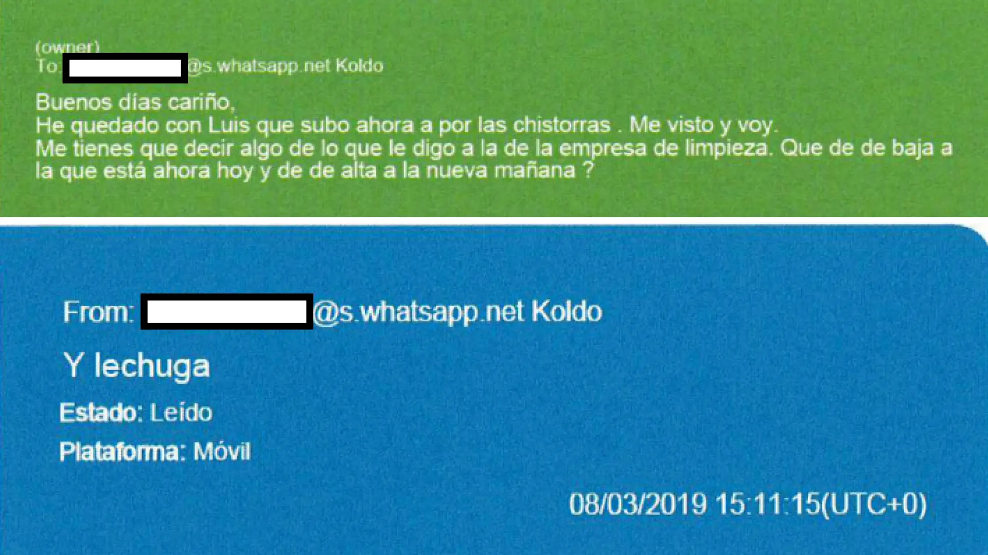 'Chistorras', 'soles' y 'lechugas': así llamaba la trama Koldo a los billetes en efectivo que manejaban