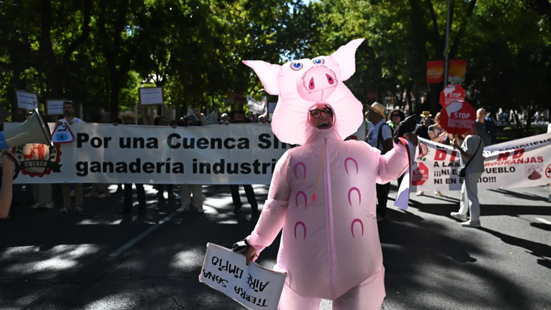 La España rural clama en Madrid contra las "macrorrenovables" que explotan sus pueblos