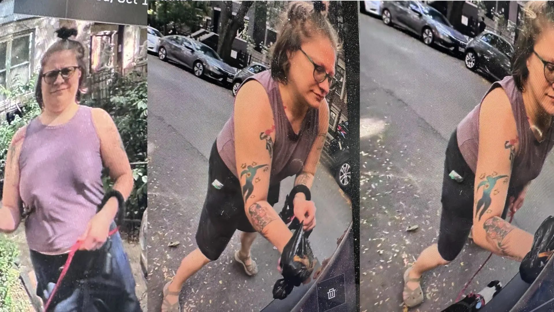 Pillan a una mujer esparciendo caca de perro sobre un coche que lucía propaganda de Trump