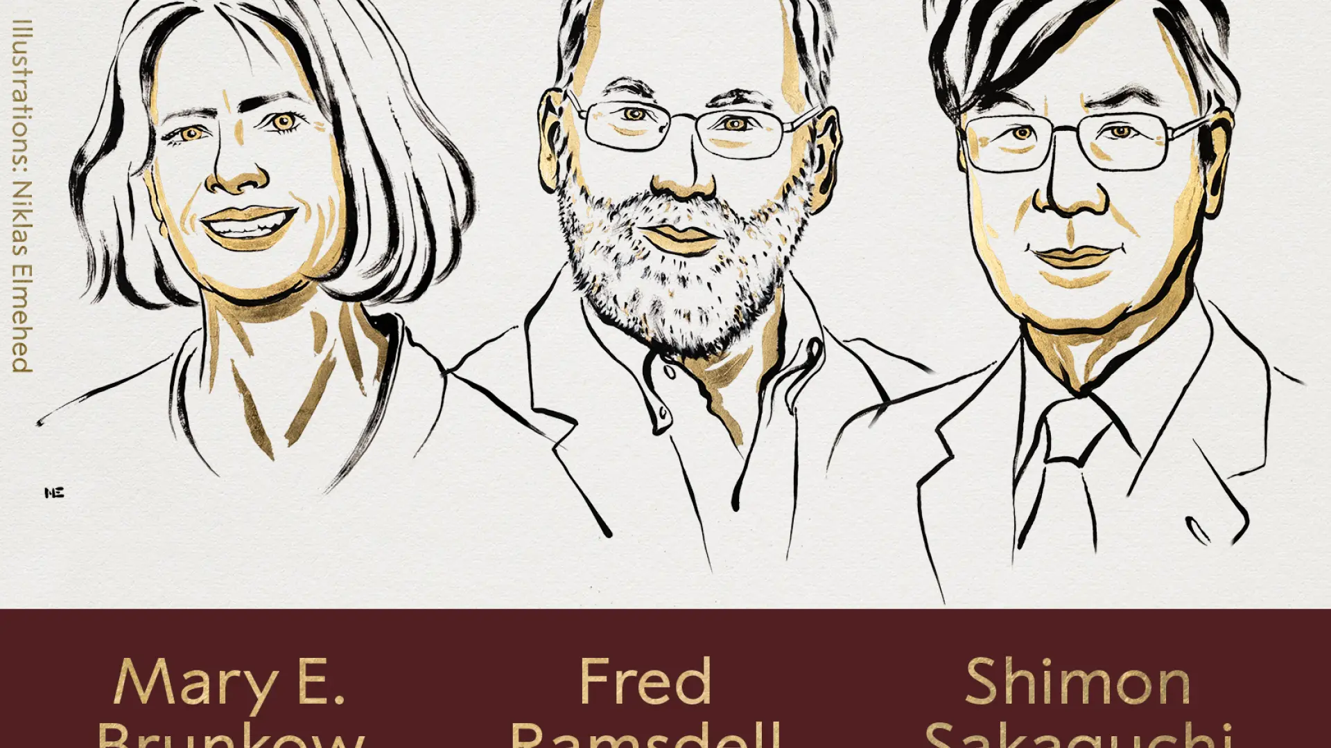 Brunkow, Ramsdell y Sakaguchi ganan el Premio Nobel de Medicina por sus avances en el origen de las enfermedades autoinmunes
