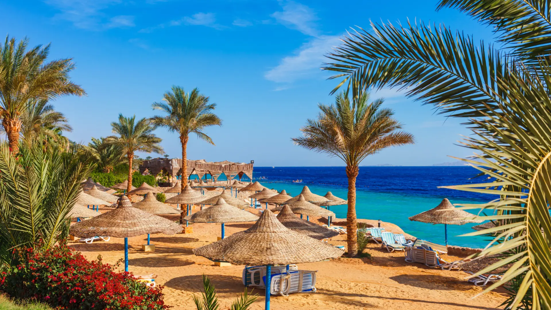 La ciudad egipcia donde se negocia la paz en Gaza: playas, arrecifes de coral y barcos hundidos