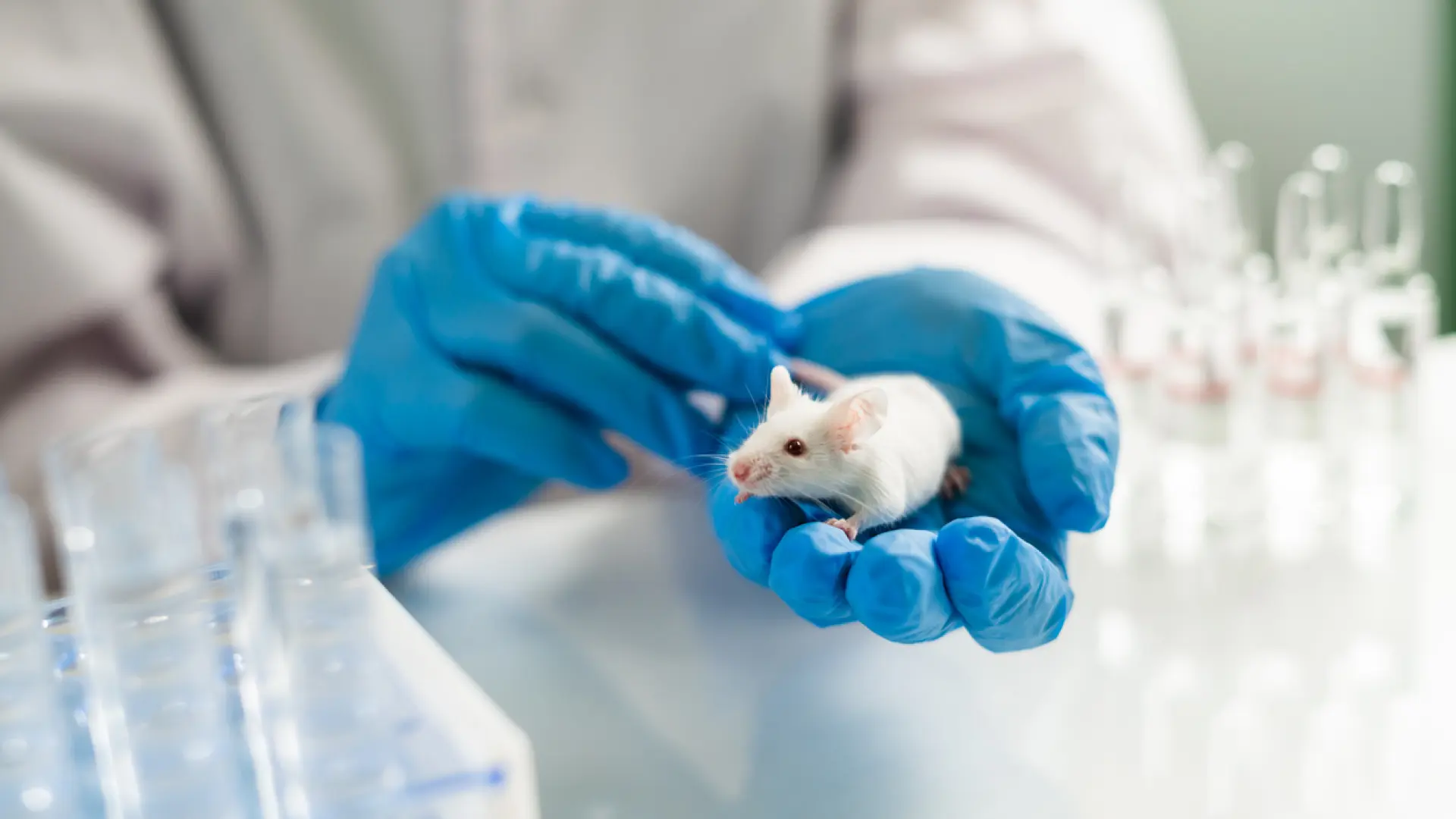 Un estudio consigue revertir con nanopartículas el alzhéimer en ratones