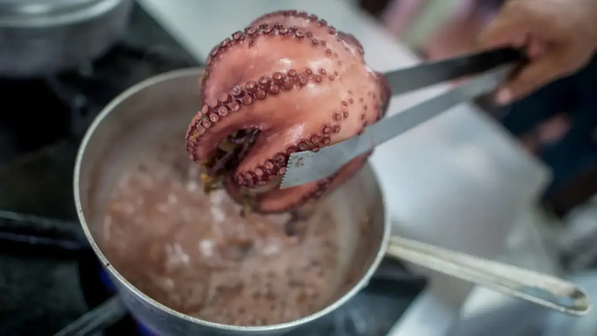 Cómo conseguir el pulpo en su punto: "Por cada kilo se le da entre 18 o 20 minutos de cocción"