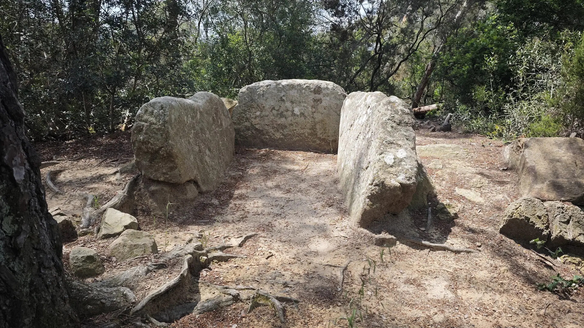 La ruta de senderismo en Cataluña entre paisajes prehistóricos que es perfecta para hacer un finde