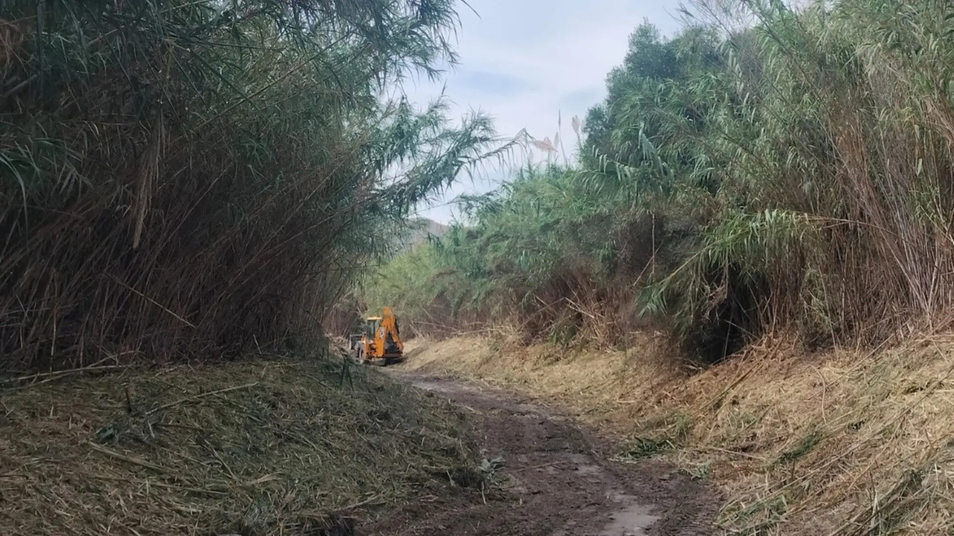Última hora de la DANA Alice, en directo | La Aemet activa la alerta roja en Alicante y Murcia por lluvias de 180 l/m2: "Peligro extraordinario, puede haber inundaciones"