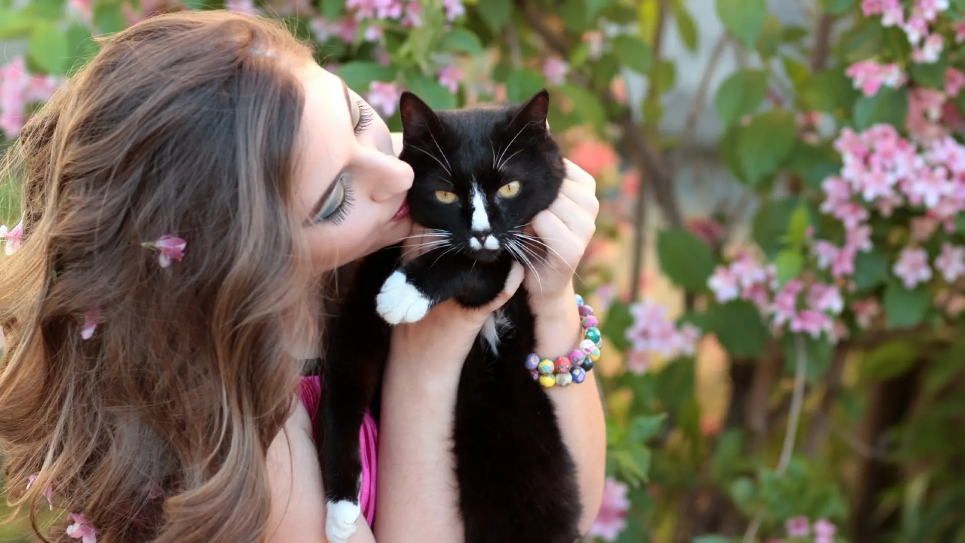 Besos, abrazos y caprichos: cómo cuidar a nuestros gatos sin pasarnos