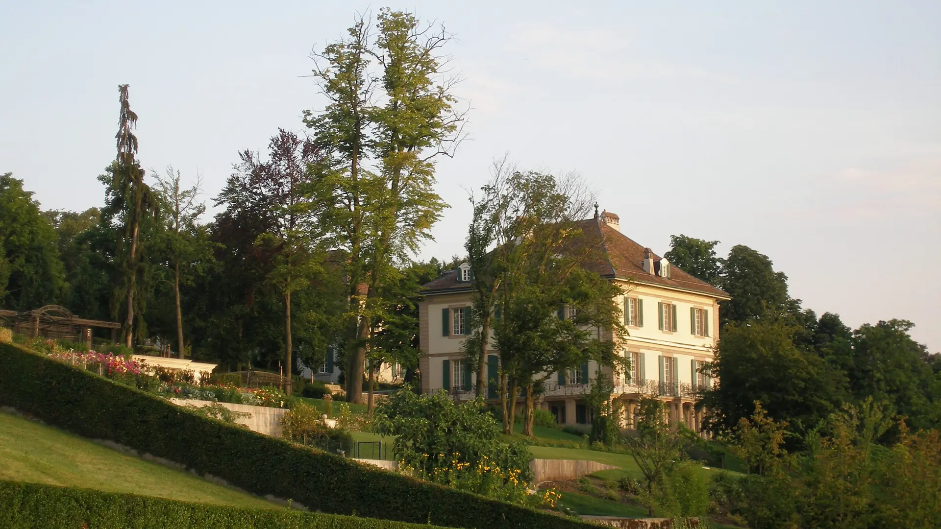 Sorry! Image not available at this time