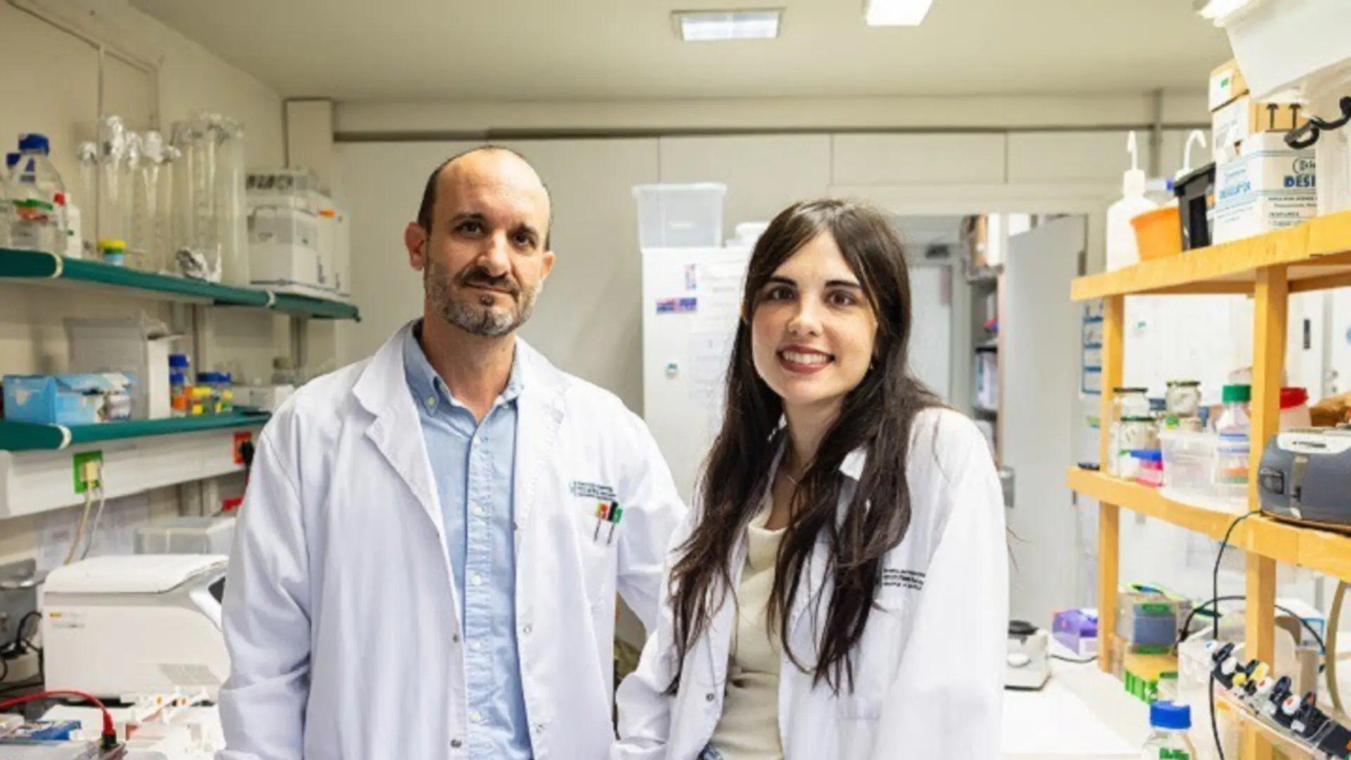 Describen una nueva terapia con células madre que puede potenciar la regeneración y plasticidad de las neuronas