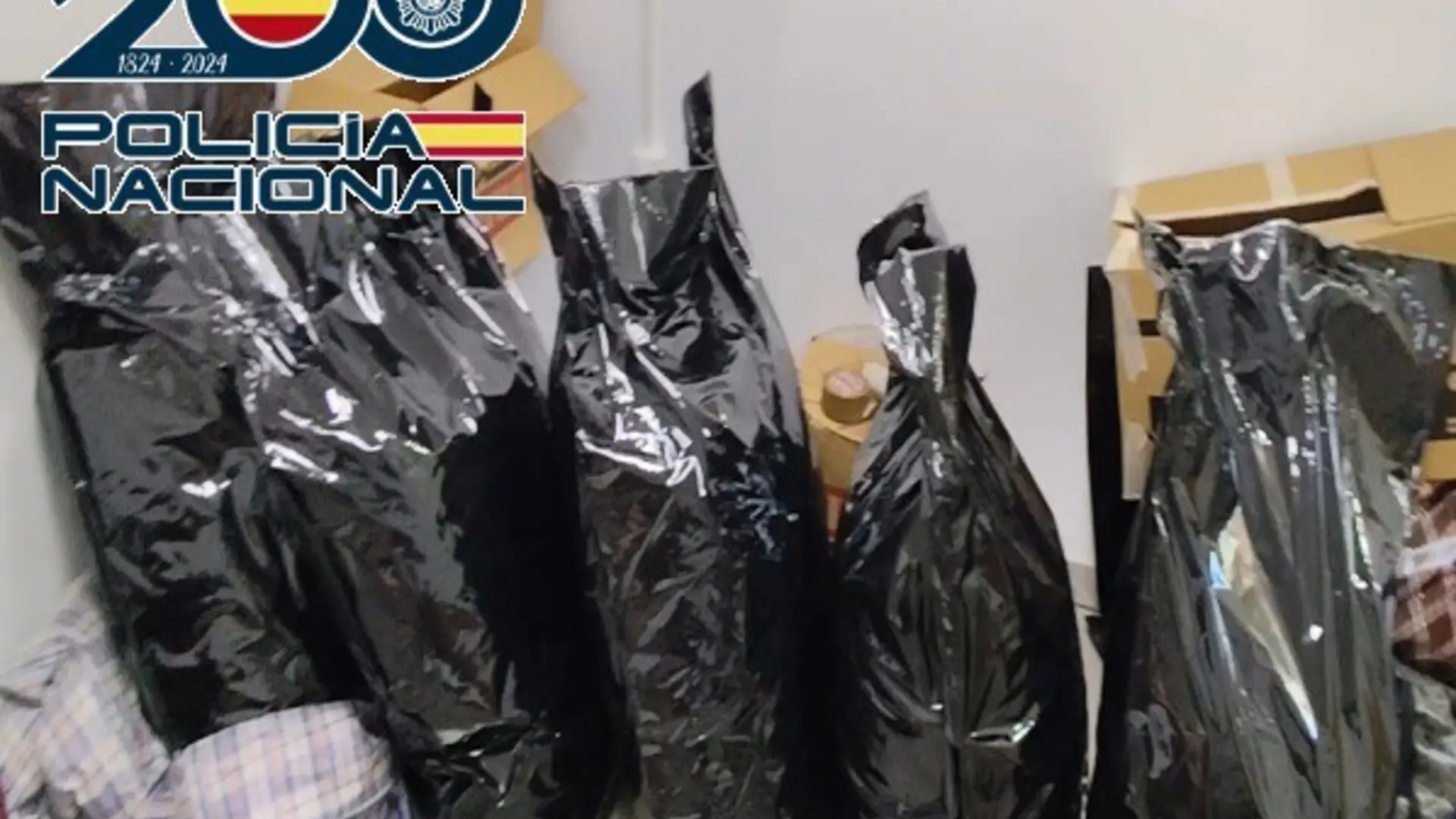 Cae un grupo criminal dedicado al cultivo y exportación de marihuana por Europa: hay siete detenidos