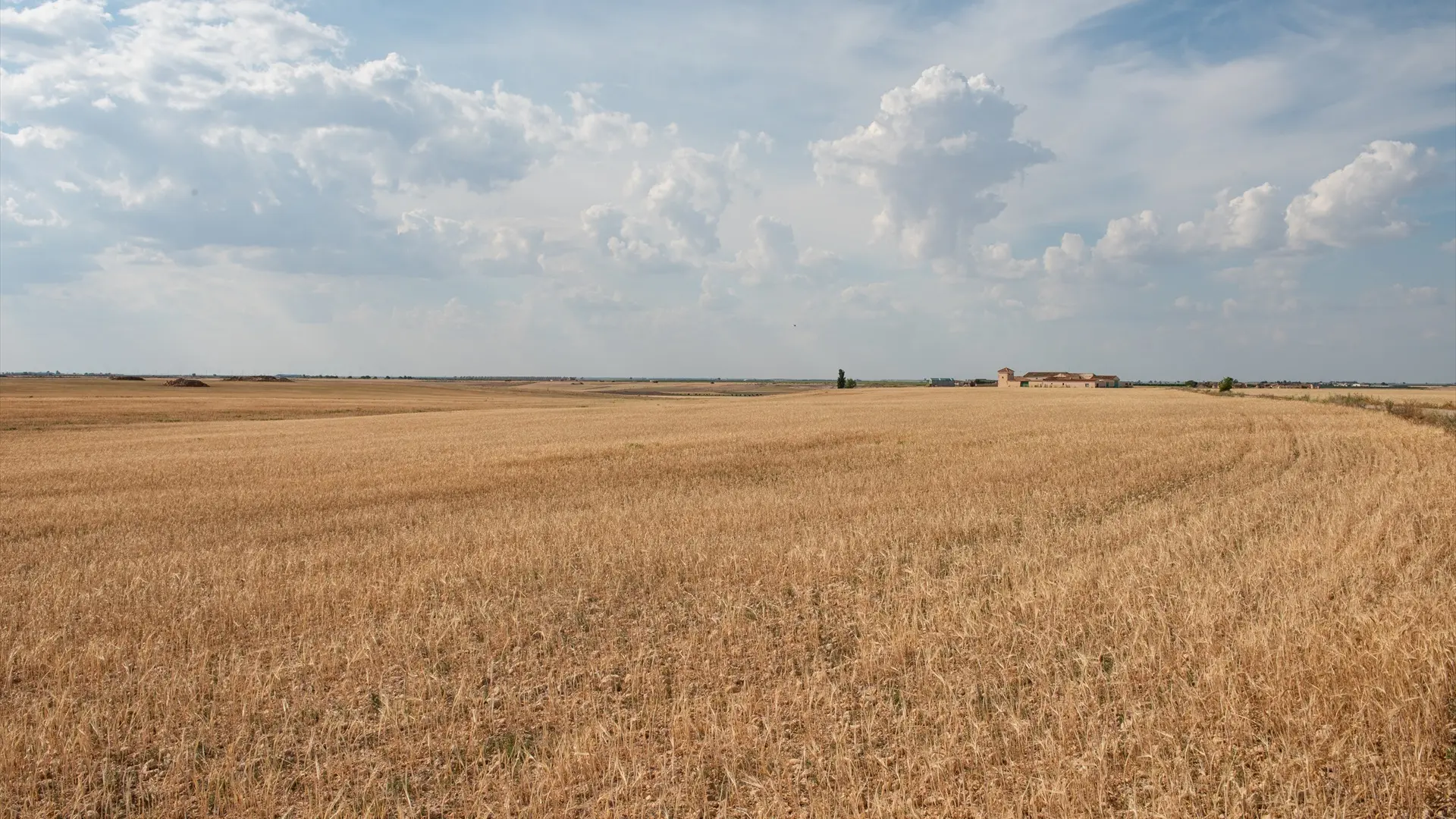 Bruselas lanza su plan para duplicar la presencia de jóvenes agricultores para 2040: del 12% actual al 24% del total