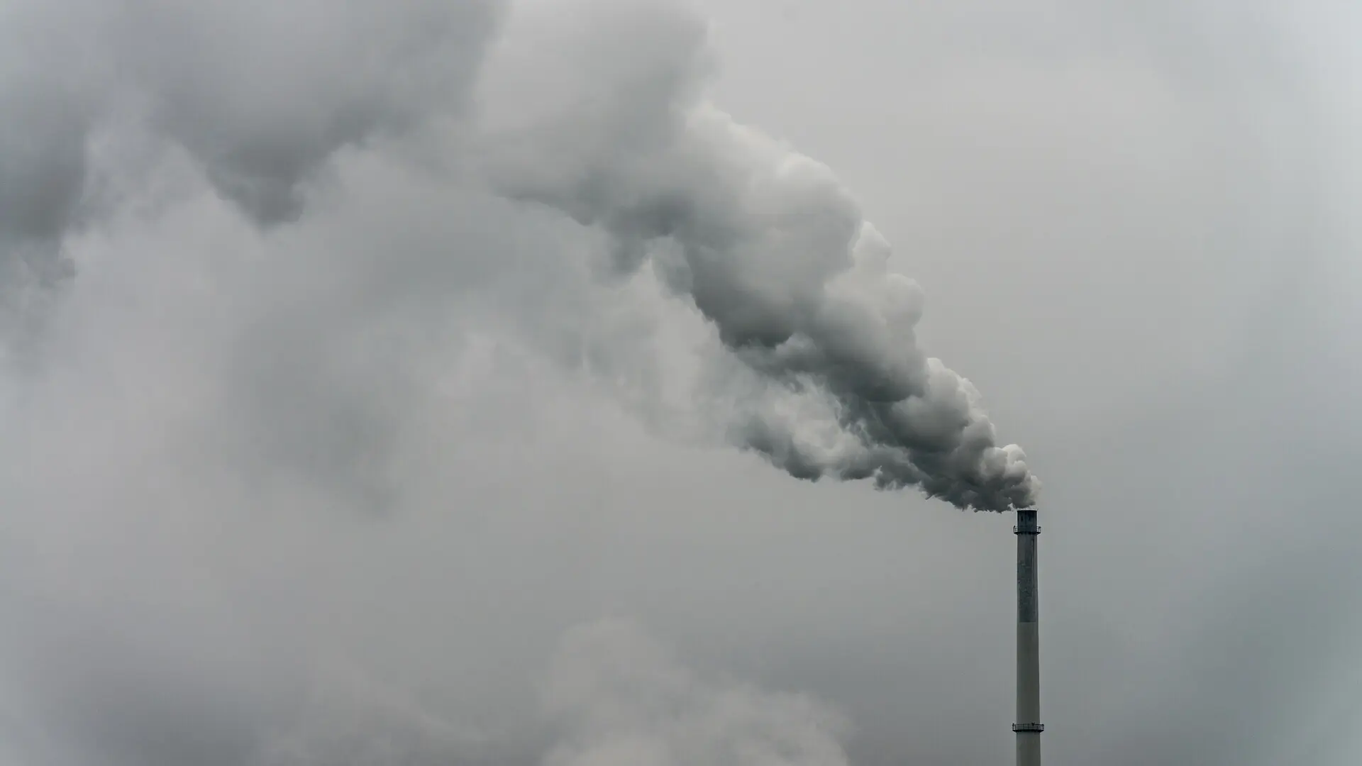Uno de cada cuatro españoles han respirado aire contaminado por ozono en los últimos tres años, según Ecologistas en Acción