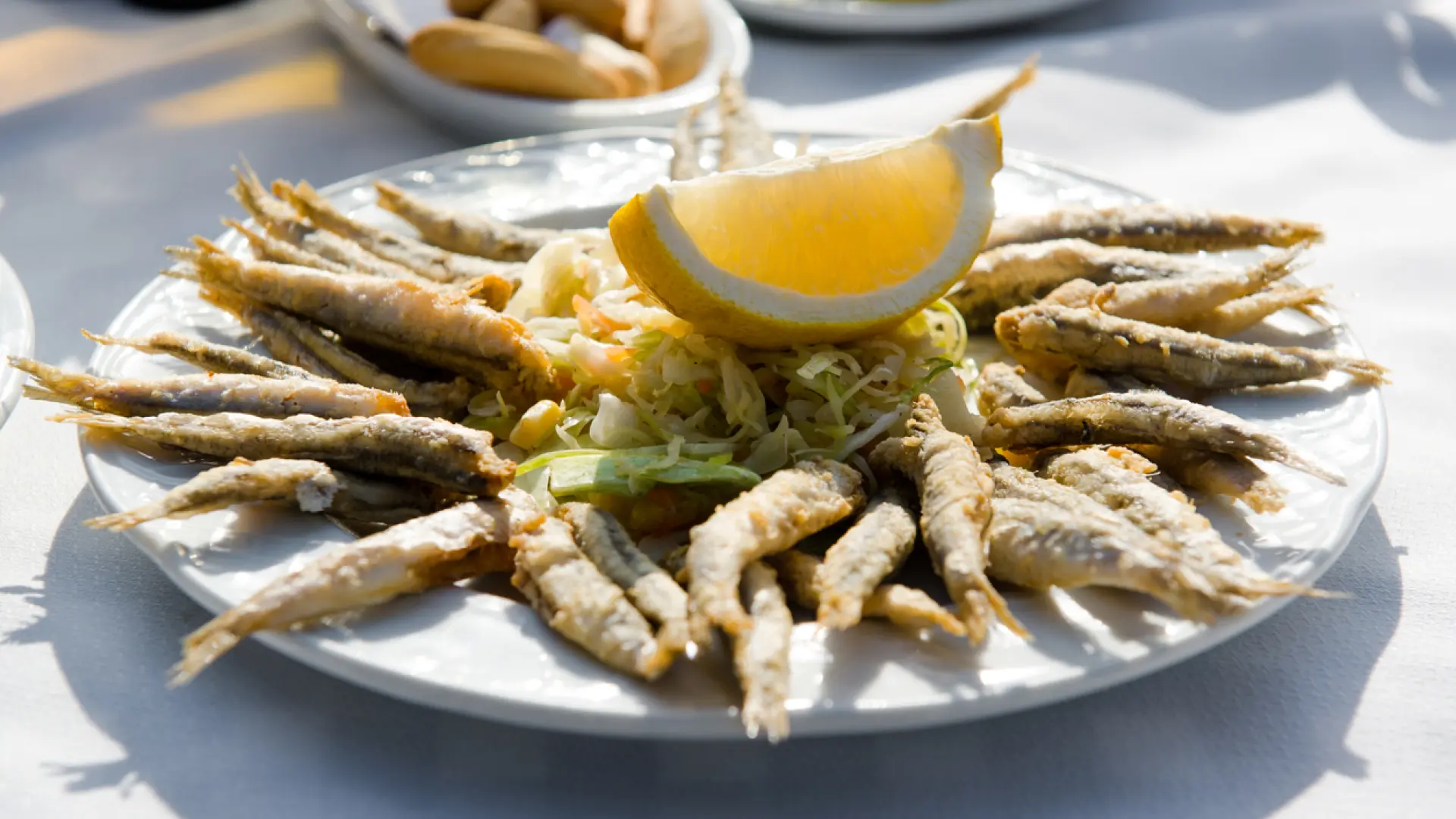 El bar clásico del centro de Barcelona que cumple 80 años y lo celebra con barra libre de pescadito frito y bebida
