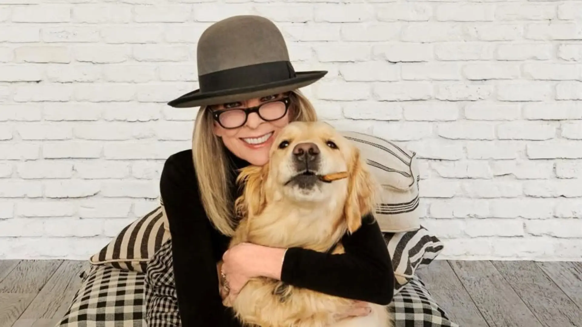 Sorry! Image not available at this time