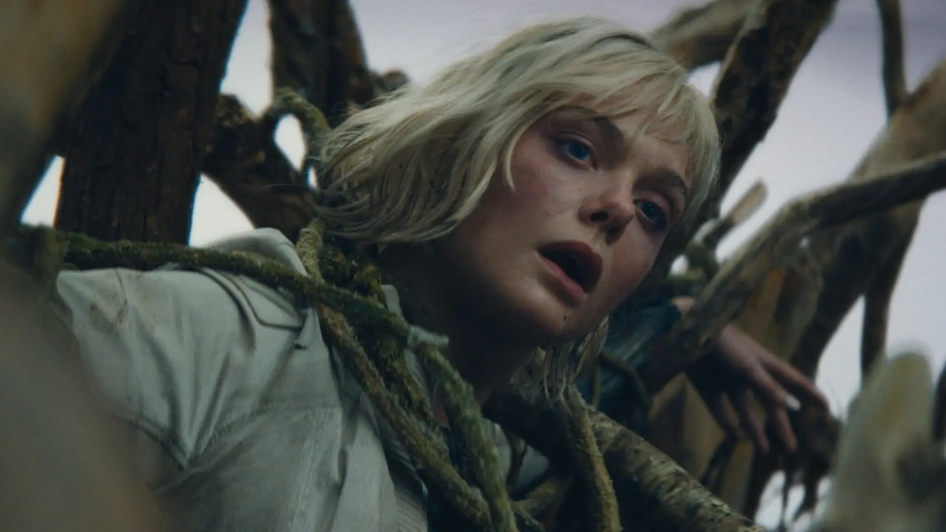 'Predator: Badlands': ¿cuándo y dónde ver en streaming la última entrega de la mítica saga?