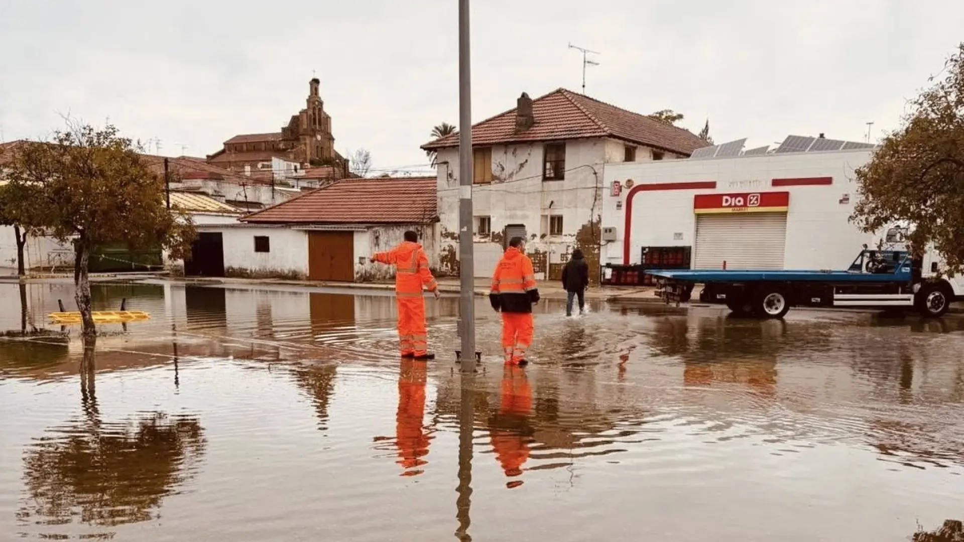 Nerva avanza en la conservación ambiental tras hallazgos en su quebrada local