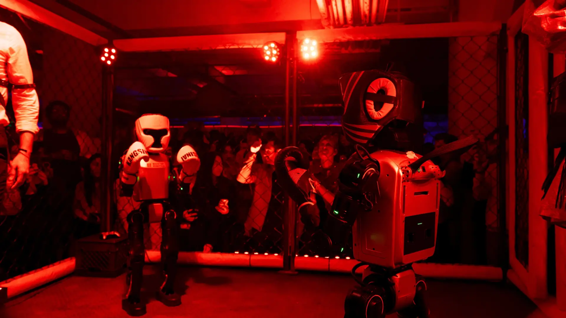 ¿El deporte del futuro? Unitree lidera la nueva era del boxeo con robots humanoides