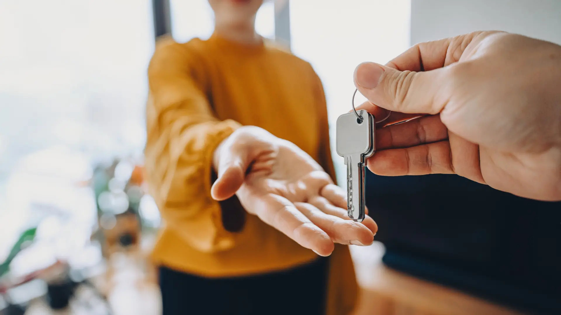 ANA разъясняет: для перекладывания IBI в договоре достаточно письменного соглашения