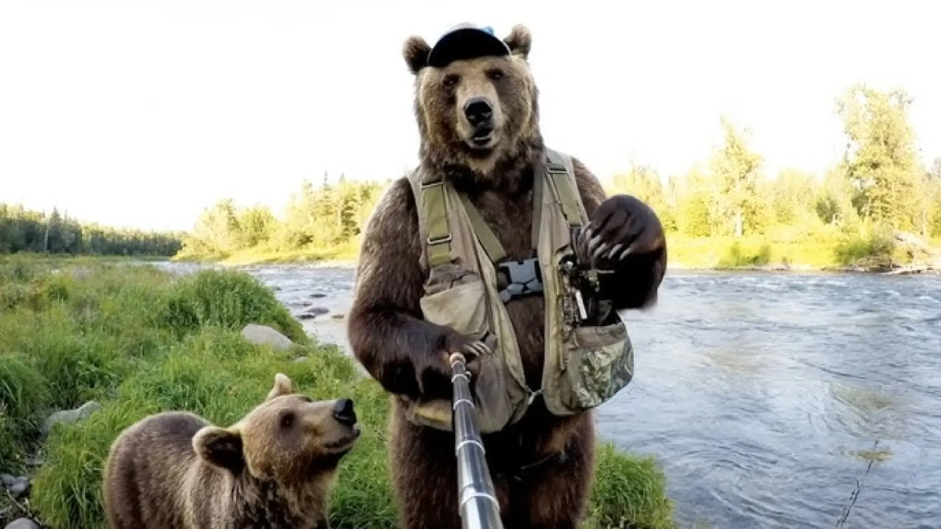 Искусственный интеллект и дикая природа: как видео искажают восприятие