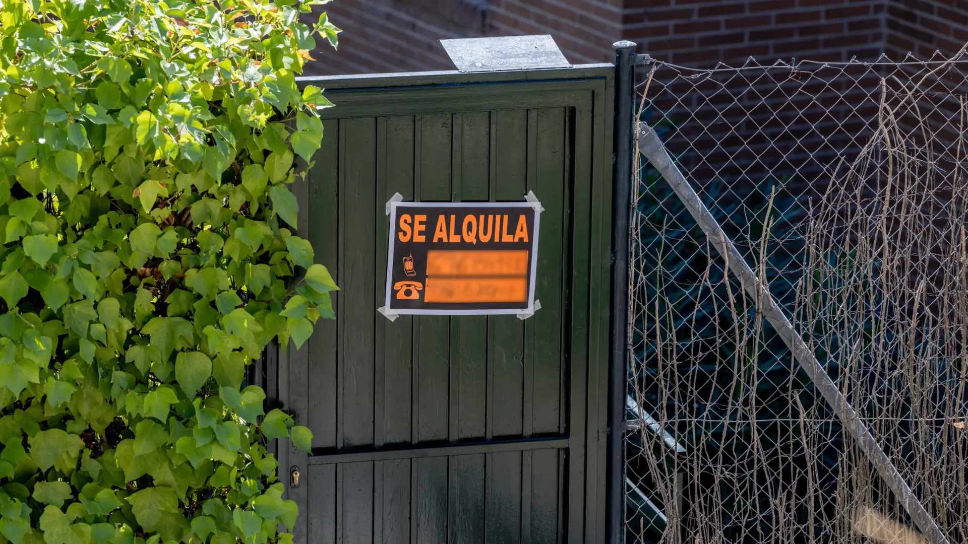 Así anticipa la IA los cambios de precio del alquiler en 37 capitales españolas