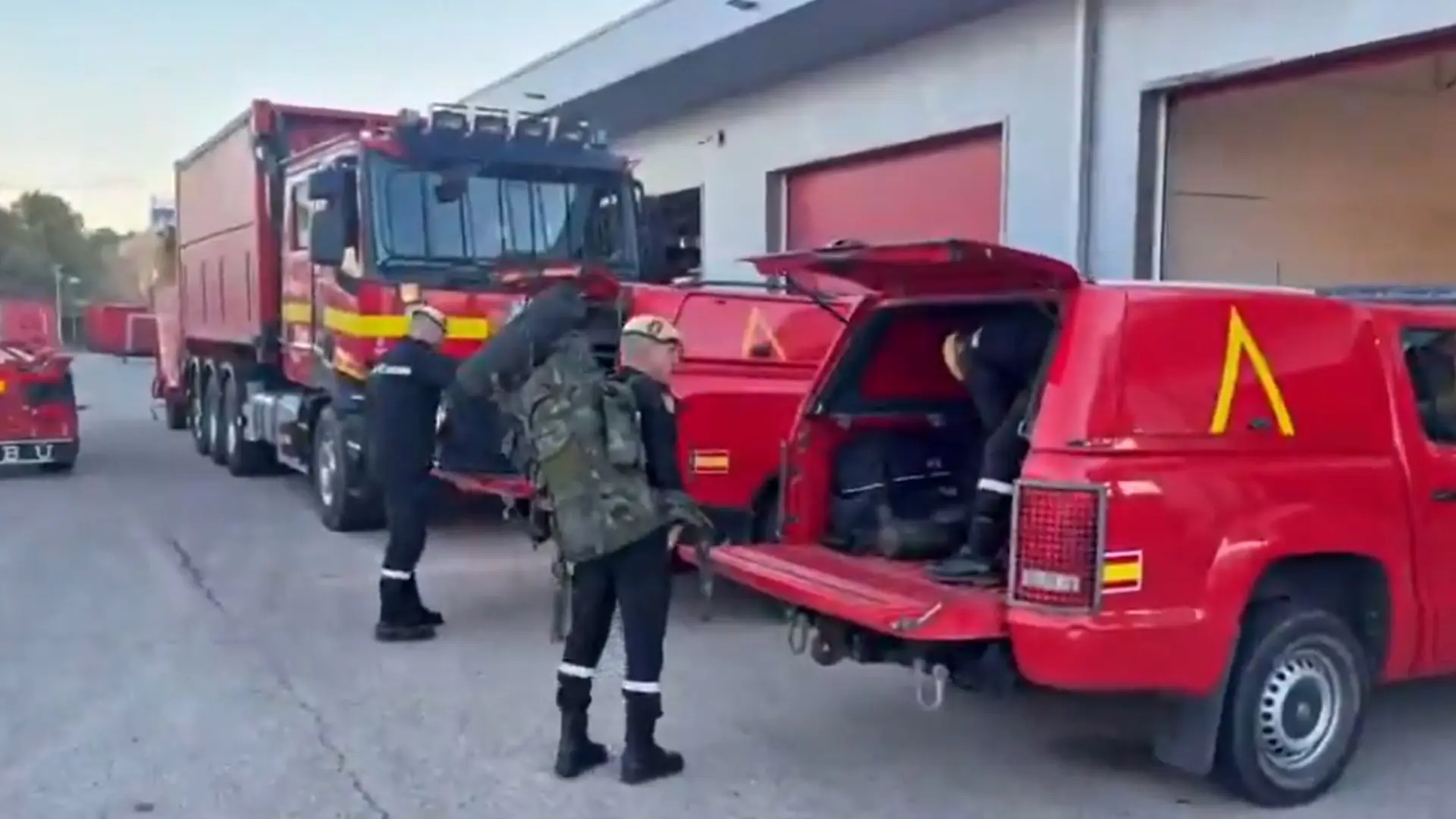 Comienza el despliegue de la UME en Cataluña para controlar el brote de peste porcina que deja ya 14 jabalíes muertos