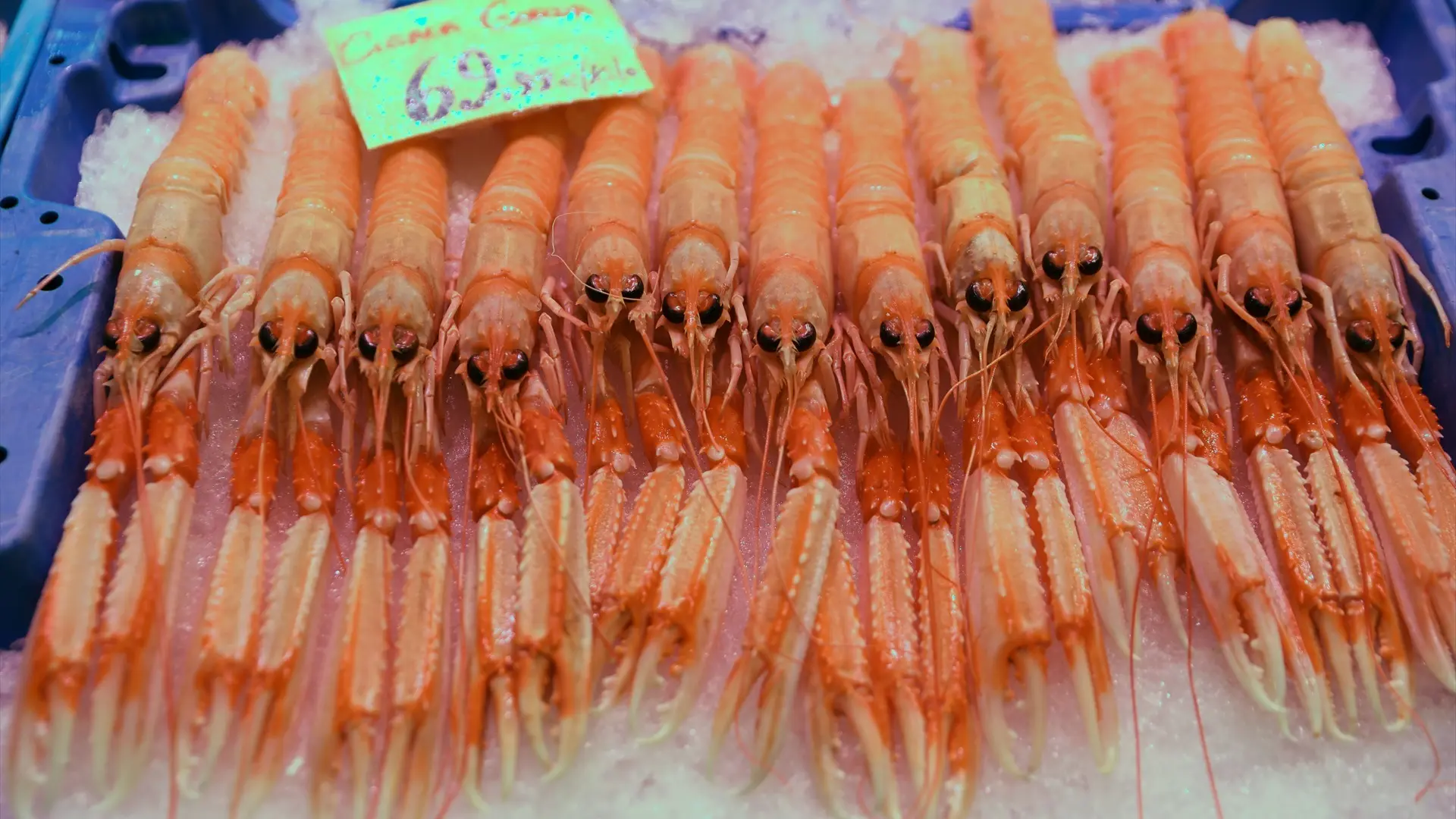 ¿Sin cigala por Navidad? España cierra la pesca de este marisco en el Golfo de Cádiz en su época de mayor venta