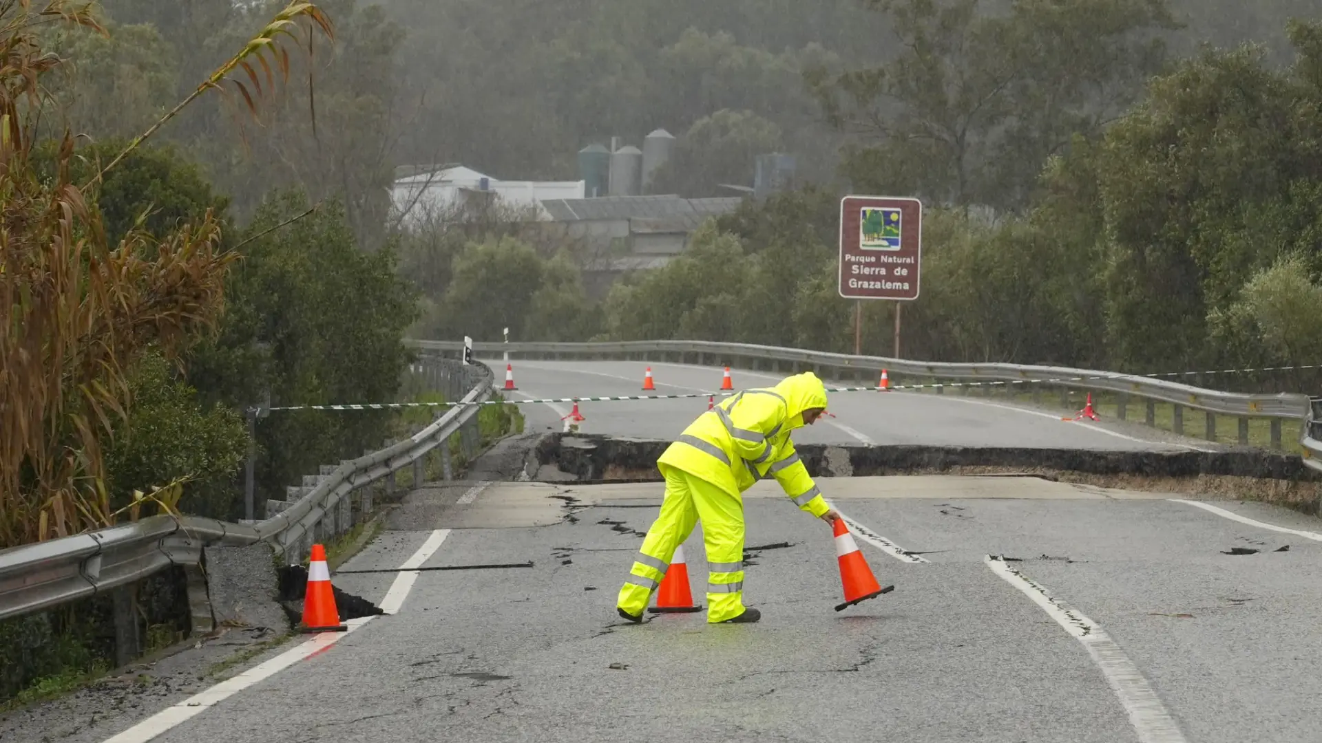 Sorry! Image not available at this time