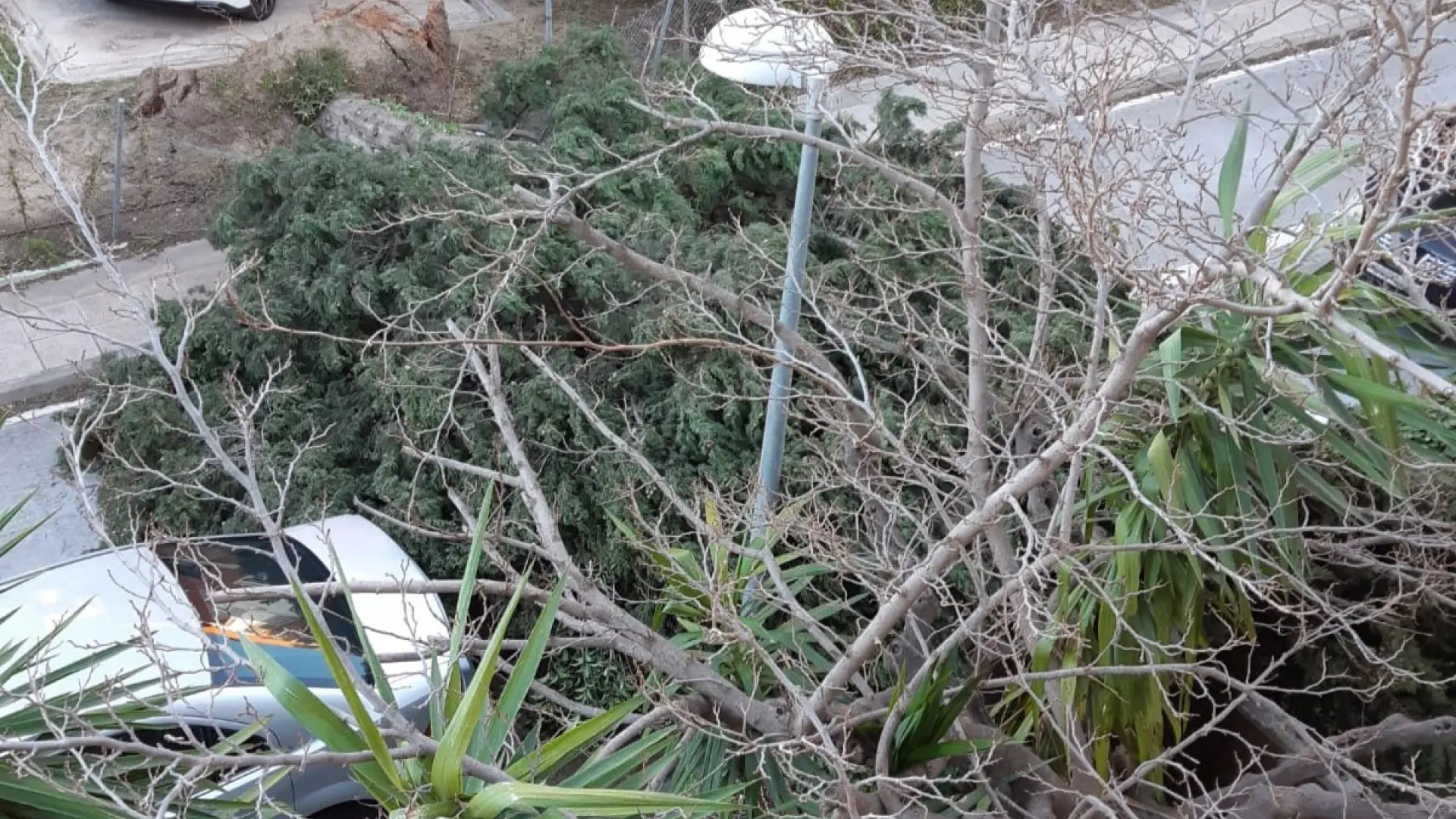 El fuerte viento derriba un muro de una empresa en Barcelona que trabaja con material radioactivo