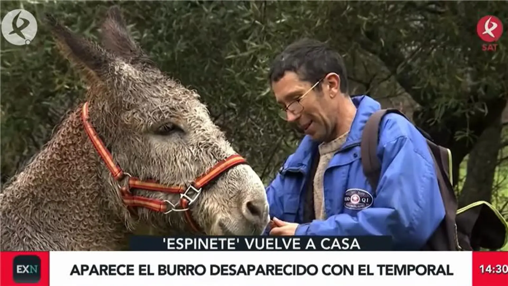Espinete vuelve a casa: encontrado sano y salvo el burro desaparecido en Cáceres