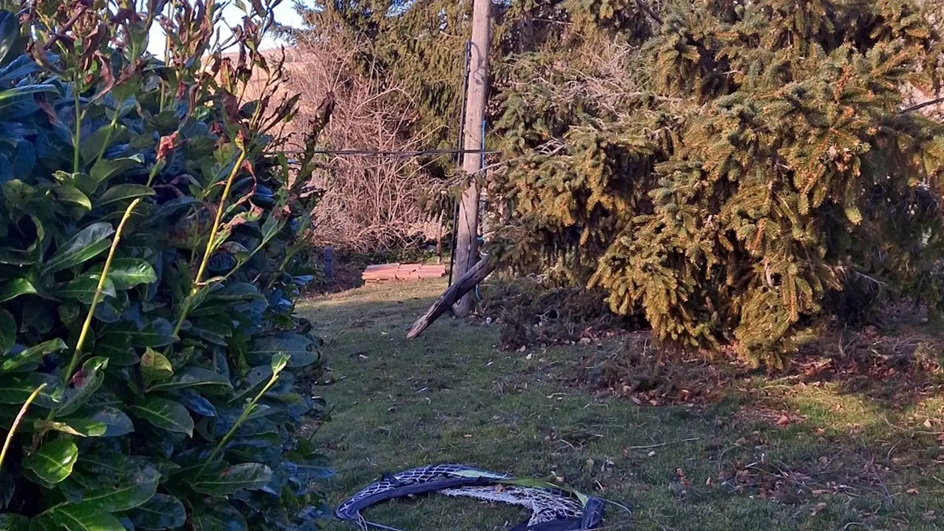 La caída de un árbol sobre un cable eléctrico aéreo deja a los vecinos de Molló sin luz desde antes de la nueve de la mañana