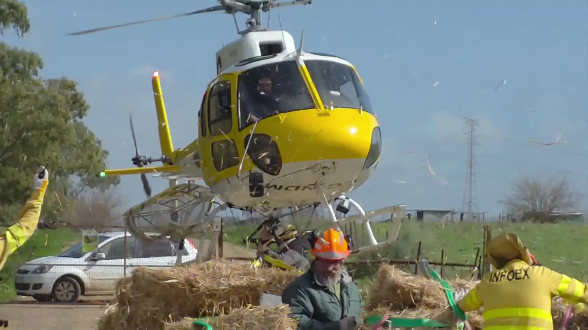 Desplegado un helicóptero para llevar alimento a 480 ovejas aisladas por las lluvias en Badajoz