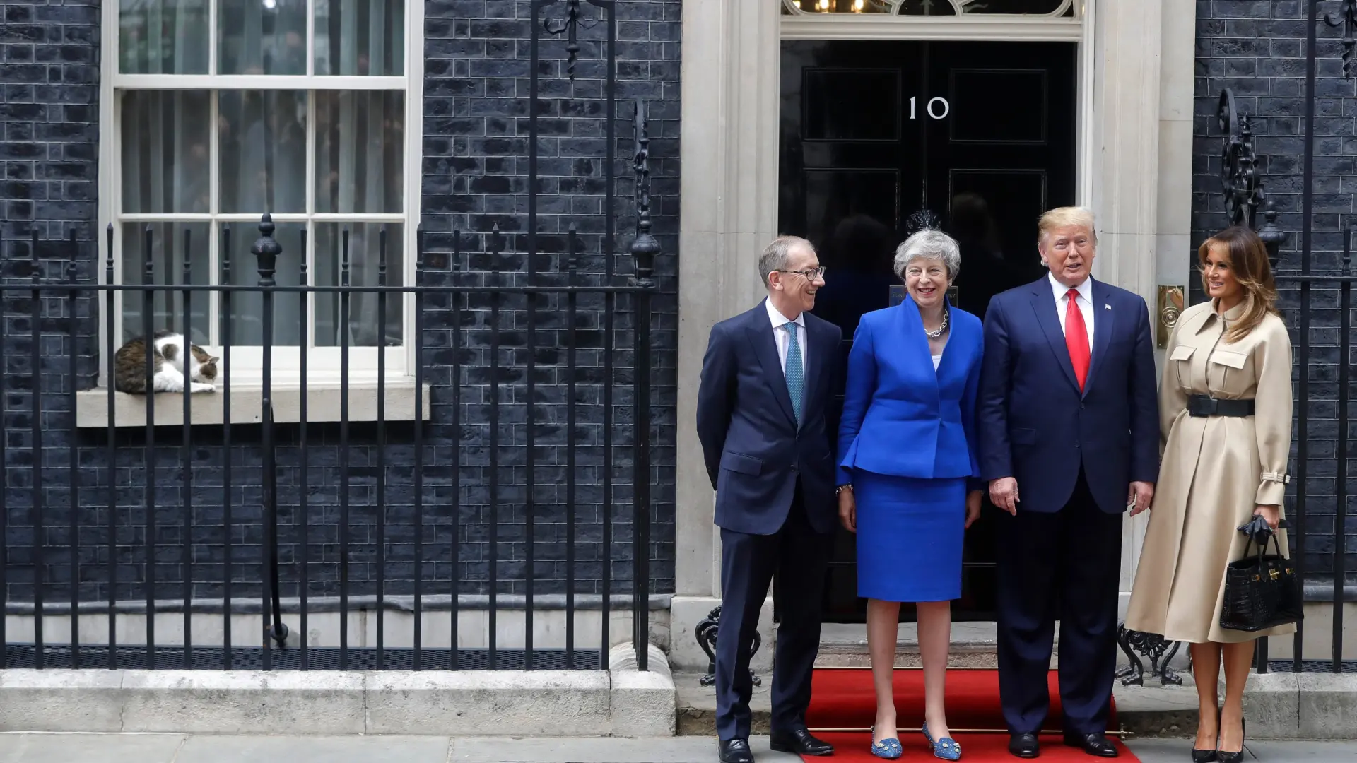 Larry the Cat: 15 Years as Britain’s Top Mouse Hunter & Downing Street Icon