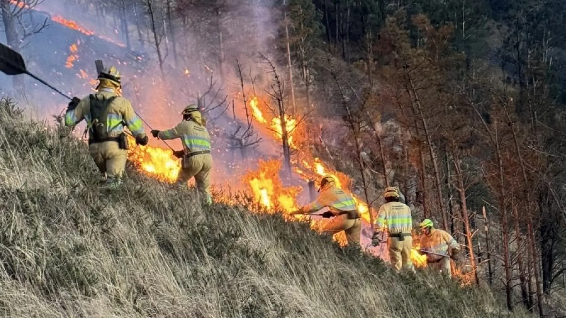 Cantabria registra 79 incendios en febrero, diez de ellos todavía activos
