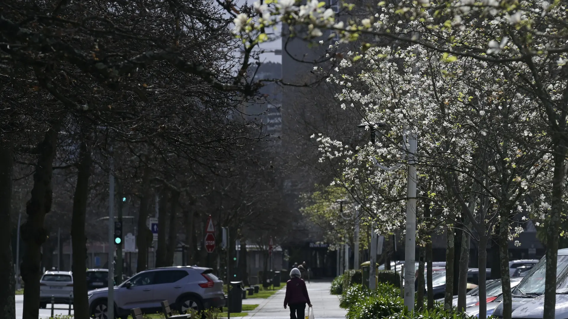 El invierno meteorológico cierra como el noveno más cálido desde 1961 en España peninsular