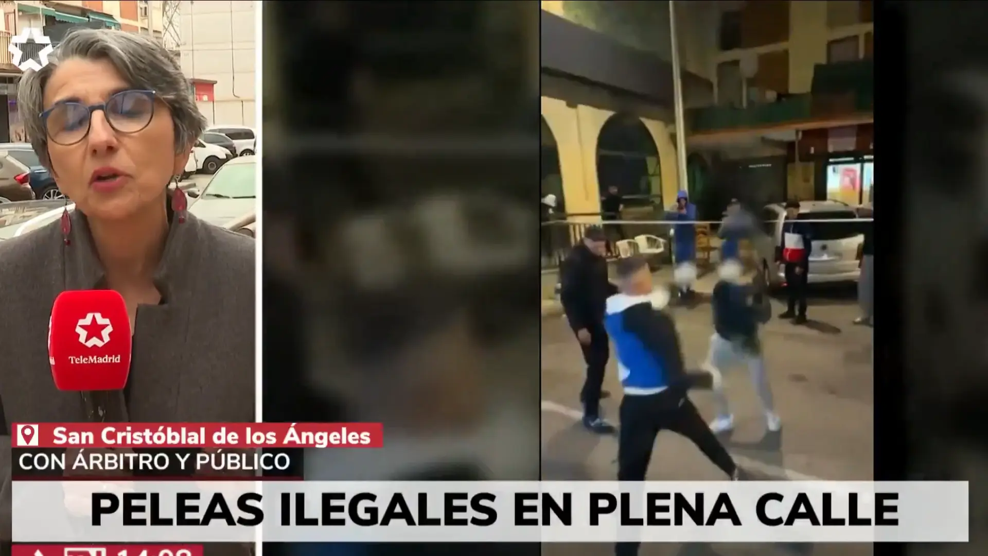 Vecinos de San Cristóbal denuncian peleas ilegales con árbitro y público en plena calle