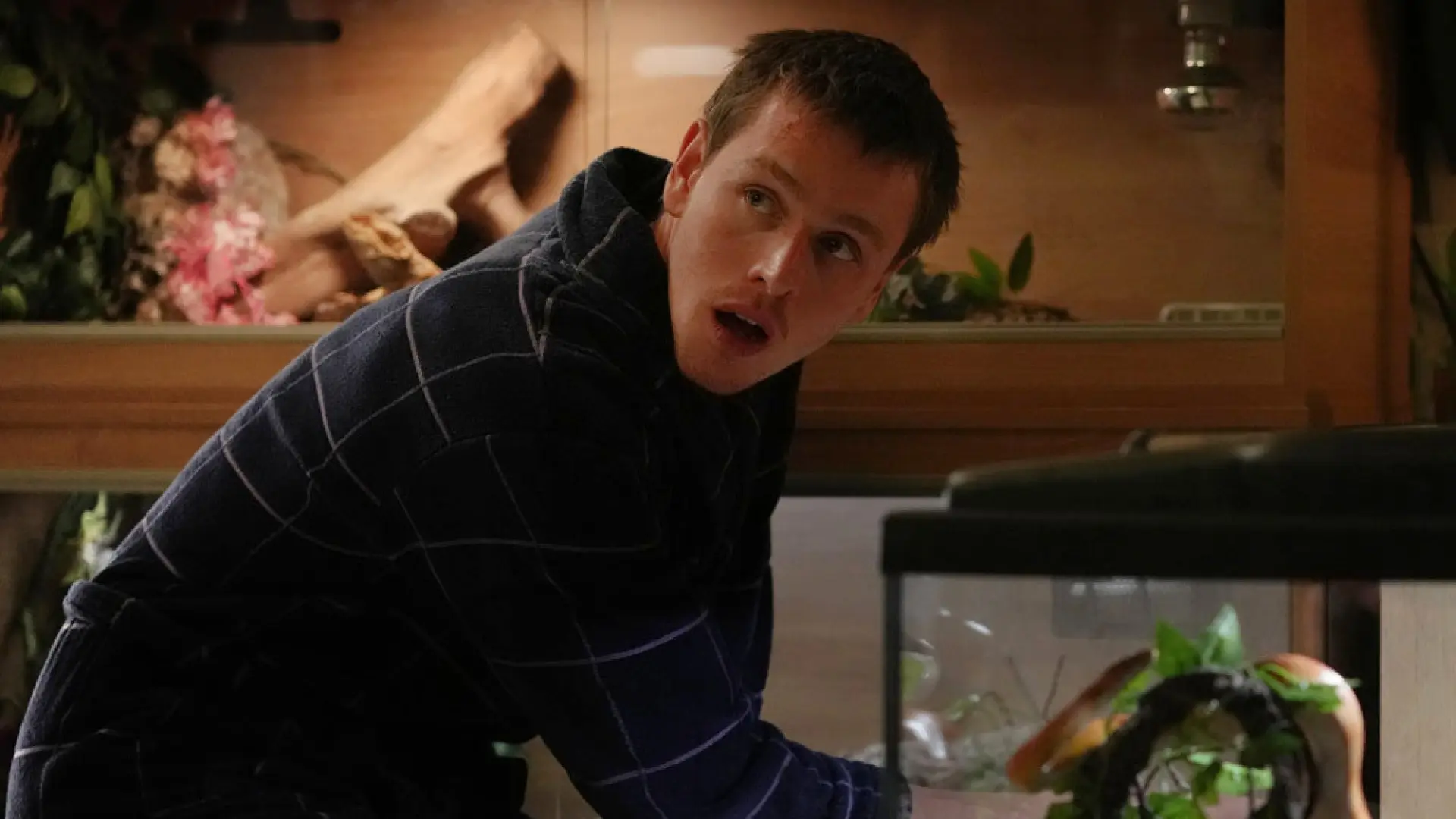 Llega al streaming la película de Harris Dickinson que tienes que ver antes de que se convierta en John Lennon para siempre