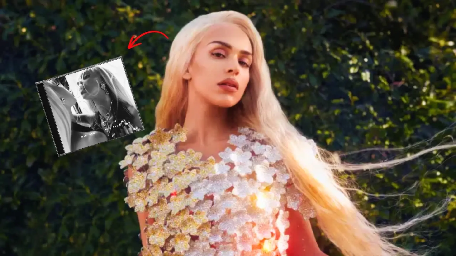 Sorry! Image not available at this time